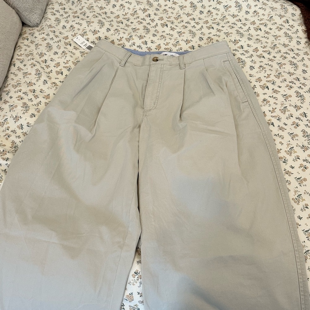 ARITZIA trousers